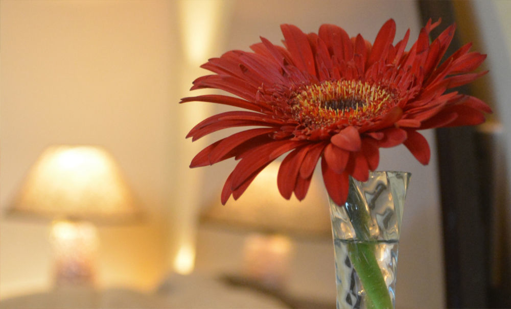 Hotel Osira La Paz Zewnętrze zdjęcie